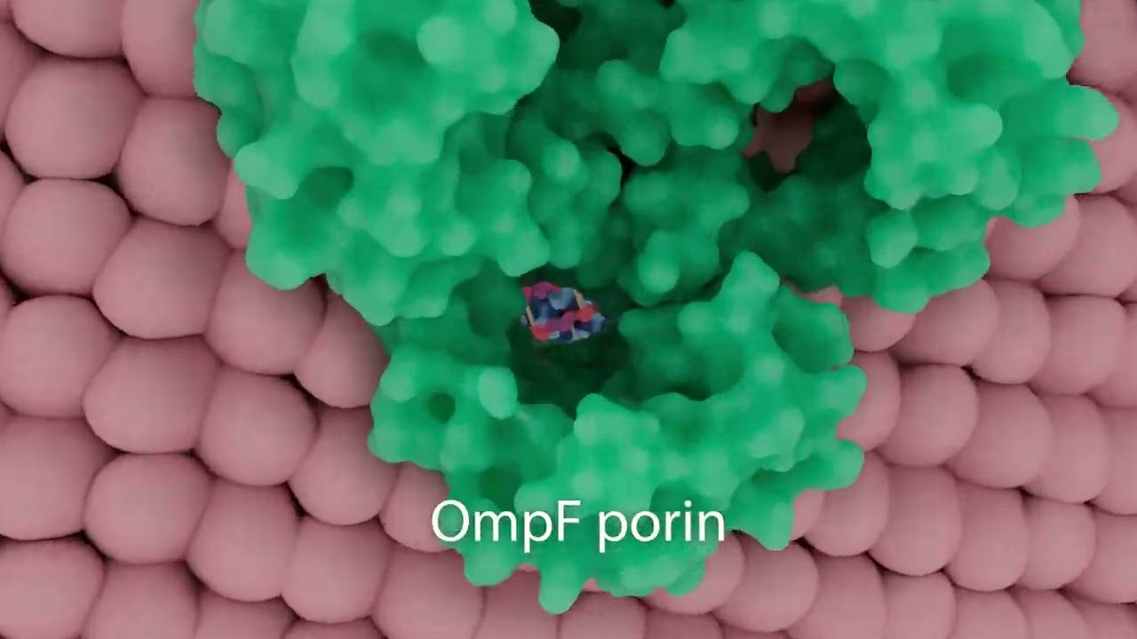 Association of Medical Illustrators Award of Merit video