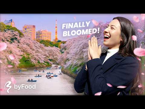 Sakura In Sicklerville