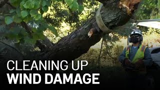Berkeley Cleans Up Damage Left Behind by Powerful Winds