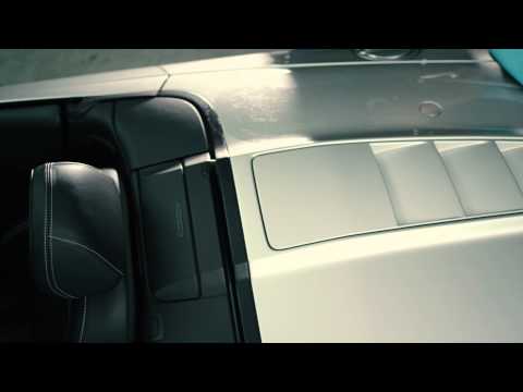 Eagle One Detailer