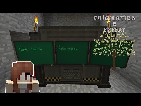 Enigmatica 2: Expert Ep. 19: The Digital Miner!