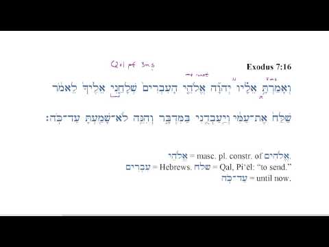 Chapter 28 - Exodus 7 16 and verbs with pronominal suffixes