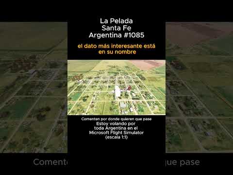 La Pelada, Santa Fe desde el Microsoft Flight Simulator #lapelada #santafe #msfs #argentina