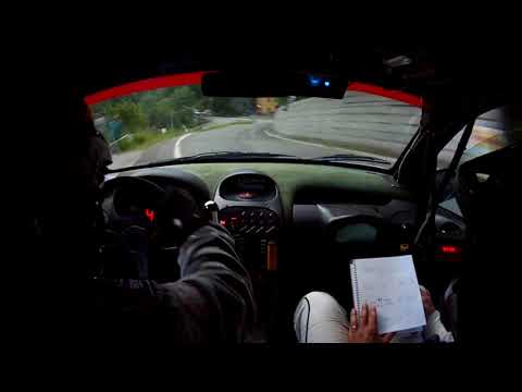 25^Rally Int. Del Taro Zanotti - Alaimo 206 A7 PS3 MONTEVACA'