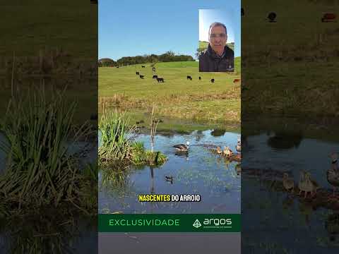 Fazenda em Hulha Negra - RS - Uma fazenda rara