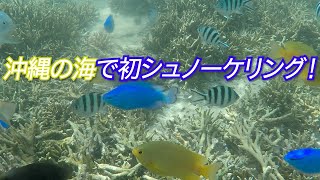 【旅動画】沖縄、台風前日の青の洞窟近くでシュノーケリング