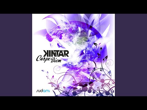 Music Never Dies (Original Mix)