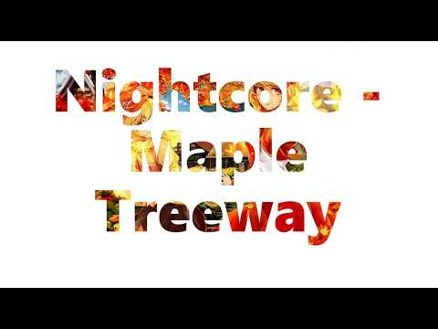 Nightcore - Maple Treeway (Mario Kart Wii)