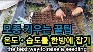 대단한 물건! 모종의 온도ㆍ습도 자동 조절기 the best way to raise a seedling