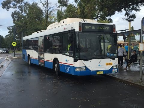 (Loud ZF) STA Sydney Buses m/o 1167