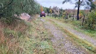 Massey Ferguson 135 wheel tractor | Image 4 - Agroline