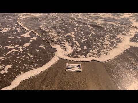 Friends In Real Life - Surf Rock Anthem (lofi study beats remix) [ft Ceschi] (Official Music Video)