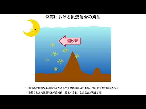 【福井県立大学】海洋生物資源学科　田中 祐希 准教授