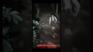 Download lagu Teke Teke capture 🥶 #shorts mp3