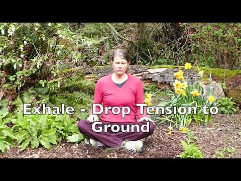 "Sit Spot" Lesson 1 with Nature Elements - Meditation Practice to Clear Mind and Calm Body