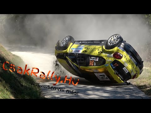 ERC Rally Croatia 2025 Saturday (Crashes and Actions)