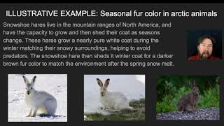 Environmental Effects on Phenotype