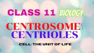 Centrosome and centriole class11 biology | Chapter 8| Cell the unit of life | NCERT | @ One Biology