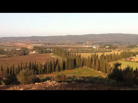 Moris Farms Terrazzo