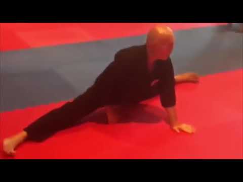 leg stretching exercises for beginners bill wallace seminar with cynthia rothrock