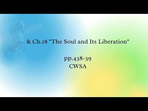 The Synthesis of Yoga pp. 438-39