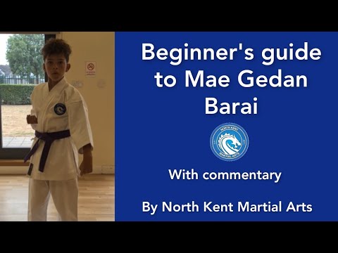 Beginner's tutorial on how to do Mae Gedan Barai with commentary
