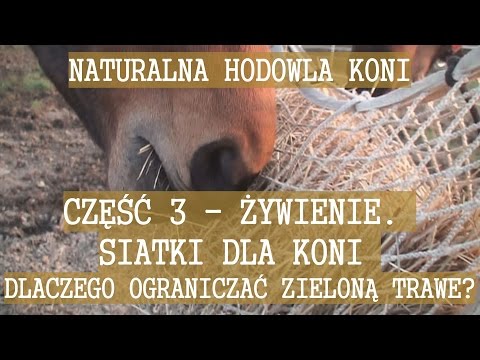 Imbir maska do włosów korzenie Maska do włosów, które mają włosy wypadnięciem