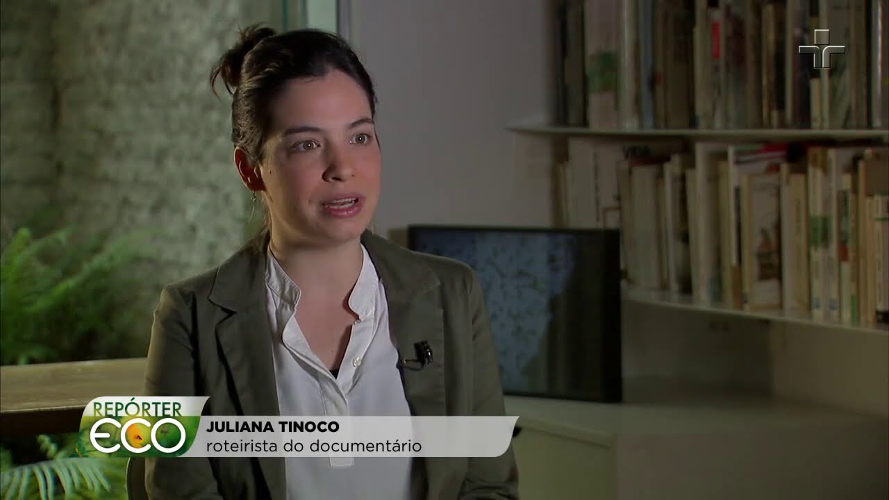 'Sob a Pata do Boi': Documentário fala sobre a devastação da Amazônia pela pecuária