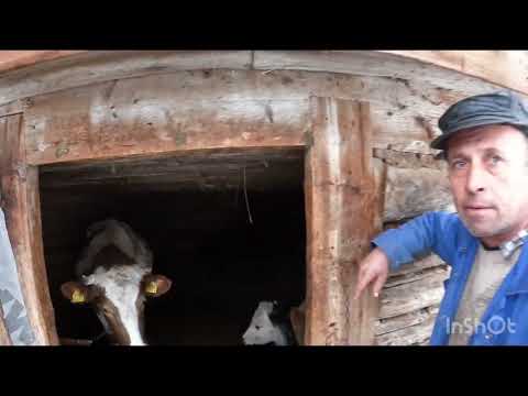 THE HOUSEHOLD OF IOAN KOMAN FROM VISEUL DE SUS. MARAMURES. HOUSEHOLD PEOPLE