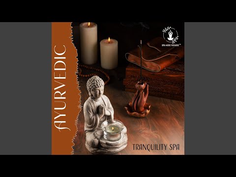 Cindys Massage Studio For Tranquility