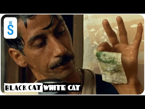 Black Cat, White Cat (1998) | Scene: Matko Destanov, a small-time Romani smuggler and profiteer