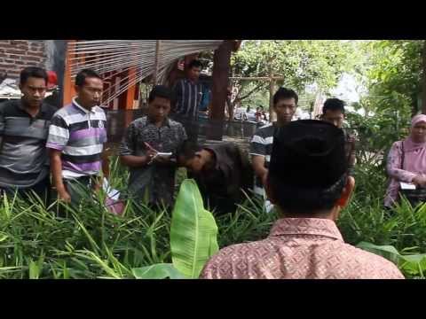 Produk pembesaran penis Bagaimana patogen perempuan wanita