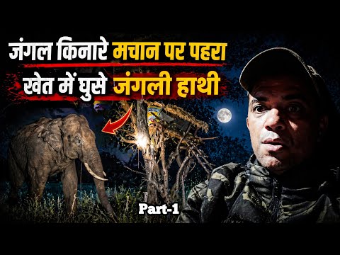 अमानगढ़ की खौफनाक रातः मचान पर पहरा और सामने जंगली हाथी | Jim Corbett to Amangarh #wildlife