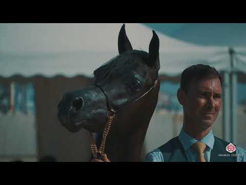 Menton 2023 -  Highlights