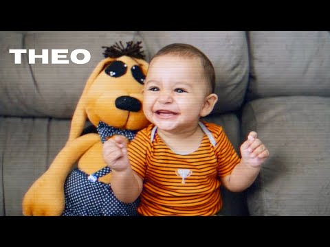 Theo video