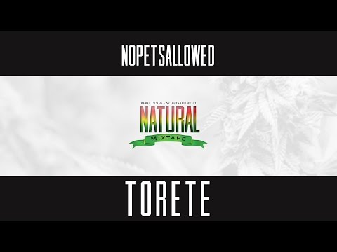 *Bunos Track* Nopetsallowed  - Torete feat  El Cliff Inugami