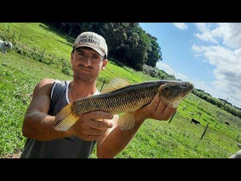 brutas na ponta da linha e um feliz pascoa para todos voçês @Andrepesca2021