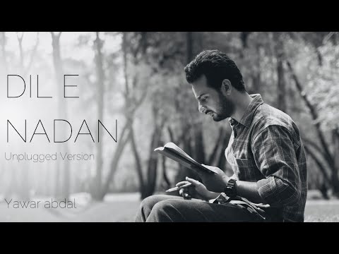 Dil e Nadan (Unplugged) - Yawar Abdal