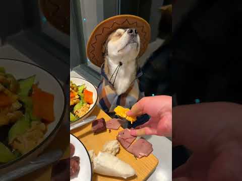 我去泰山的稳重狗     苦根：无论外界风云如何变幻，我自岿然不动