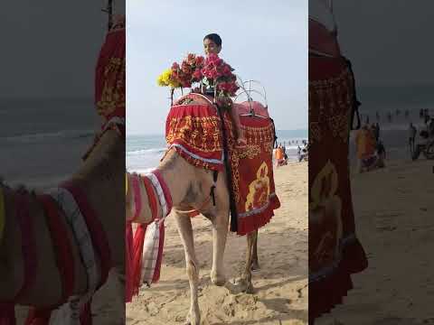 #song #goa#puri #beachvibes