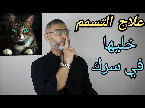 , title : 'علاج التسمم عند القطط وماهي الإسعافات الأولية'