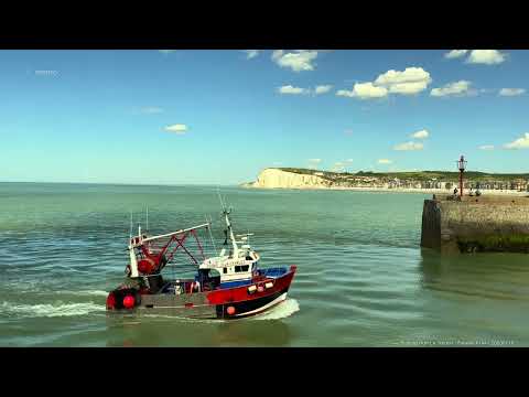 Fishing Port Le Tréport | Falaise #144 | 20230718
