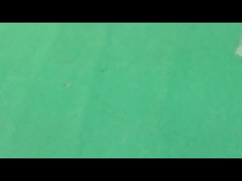 172nd THYAGARAJA ARADHANA FESTIVAL