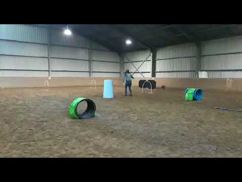 Jaslin hoopers januari 2018