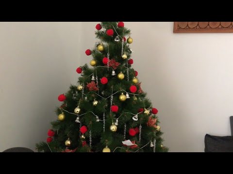 Sunday Funday at The Villamors + Dusk Walking + Cats everywhere | Eileen Leizel