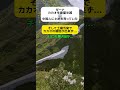 ガーナでカカオ生産半減→中国人に土地を売っていた