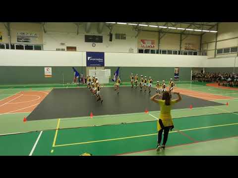 MAŽORETKE DOBOVA - skupina KADET - evropski pokal ADA Praga 2022