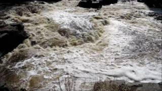 preview picture of video 'Spring Flooding at the Dells of the Eau Claire river'