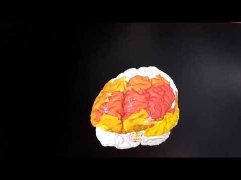 Marcelo Volpe Coelho-1