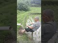 Hand Powered Rice Irrigation DIY Piston Pump In Action